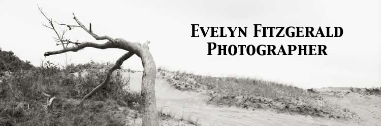 Evelyn Fitzgerald, Photographer